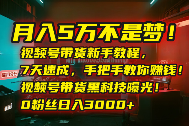 月入5万不是梦!视频号带货新手教程,7天速成,手把手教你赚钱!视频号…创客联盟总站-闲云创业网-老谢轻创网-中创网-福缘网-冒泡网-资源之家-魔方项目库创客联盟总站