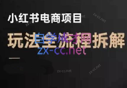 菲菲老师·小红书电商玩法(更新7月)创客联盟总站-闲云创业网-老谢轻创网-中创网-福缘网-冒泡网-资源之家-魔方项目库创客联盟总站