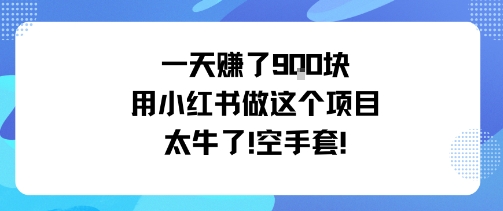 一天挣了9张用小红书做这个项目太牛了，空手套创客联盟总站-闲云创业网-老谢轻创网-中创网-福缘网-冒泡网-资源之家-魔方项目库创客联盟总站