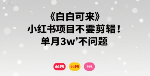 小白可来 小红书项目不需要剪辑 单月3w不是问题创客联盟总站-闲云创业网-老谢轻创网-中创网-福缘网-冒泡网-资源之家-魔方项目库创客联盟总站