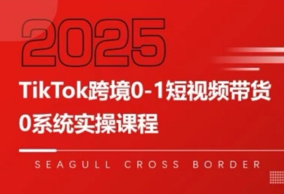 大亿老师·TikTok跨境0-1短视频带货创客联盟总站-闲云创业网-老谢轻创网-中创网-福缘网-冒泡网-资源之家-魔方项目库创客联盟总站