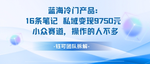 蓝海项目：16条笔记私域变现9750米小众赛道操作的人不多创客联盟总站-闲云创业网-老谢轻创网-中创网-福缘网-冒泡网-资源之家-魔方项目库创客联盟总站