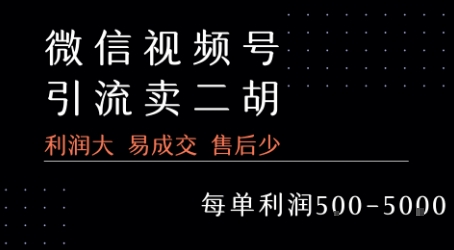 视频号卖二胡教程,利润大 易成交 售后少,一单利润5张+创客联盟总站-闲云创业网-老谢轻创网-中创网-福缘网-冒泡网-资源之家-魔方项目库创客联盟总站
