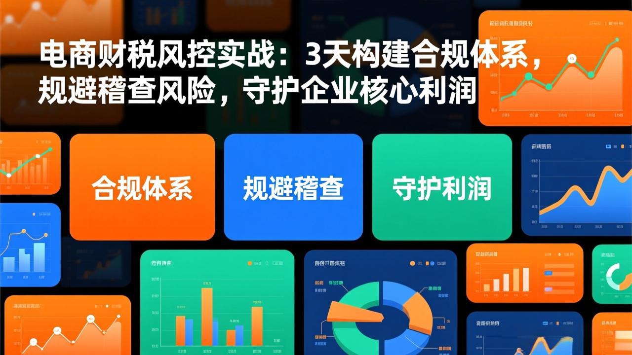 电商财税风控实战：3天构建合规体系，规避稽查风险，守护企业核心利润创客联盟总站-闲云创业网-老谢轻创网-中创网-福缘网-冒泡网-资源之家-魔方项目库创客联盟总站